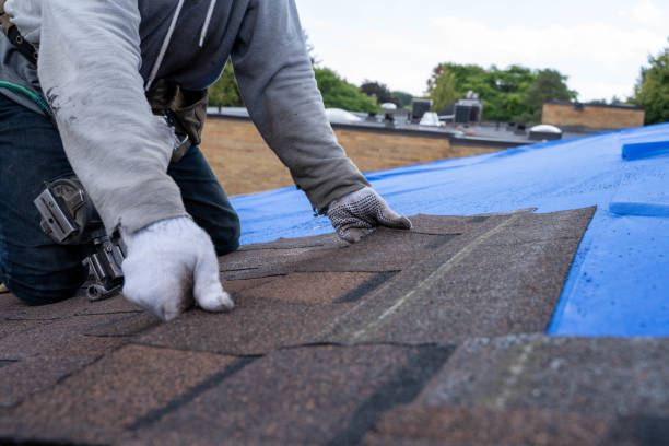 Best Sealant for Roof  in Fritch, TX