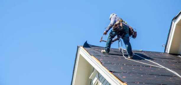 Best Roof Maintenance Services  in Fritch, TX